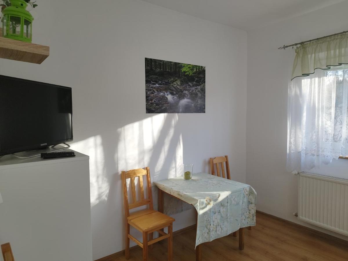 Appartement Jaskolka à Lądek-Zdrój Extérieur photo
